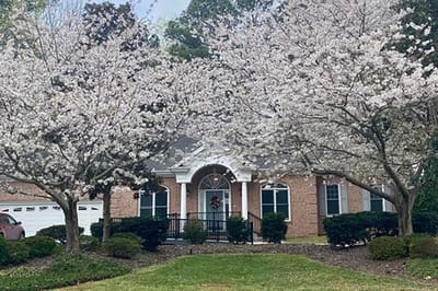 Exterior view of a facility with flowering trees