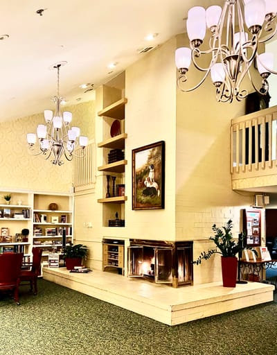 Cozy common area with a fireplace and bookshelves