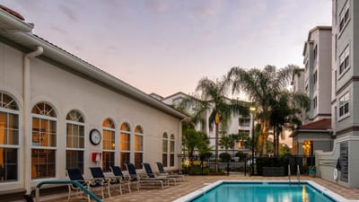 Outdoor pool area with lounge chairs and palm trees
