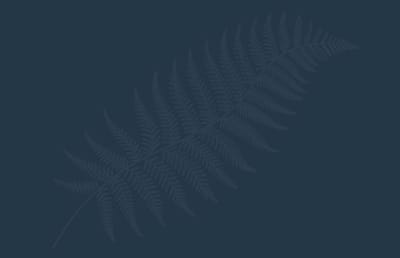 Abstract fern pattern on a dark background