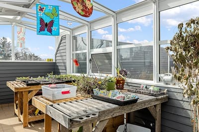 Bright indoor gardening area with plants and decorations
