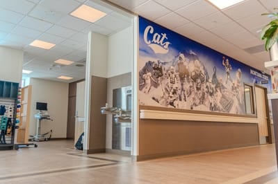 Interior view of a hallway with wall art