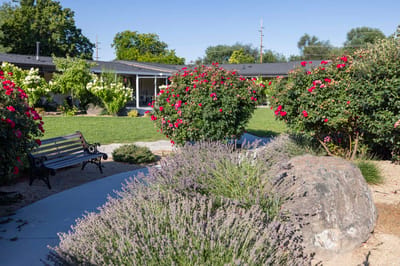 Beautiful garden area with flowers and a bench