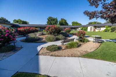 Garden area with benches and flowering plants