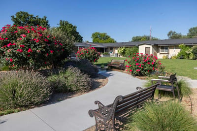 Beautiful garden pathway with blooming flowers