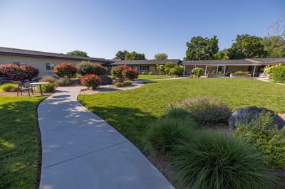 A landscaped outdoor area with paths and flowering shrubs