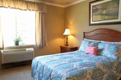 Cozy private bedroom with a large window and colorful bedding