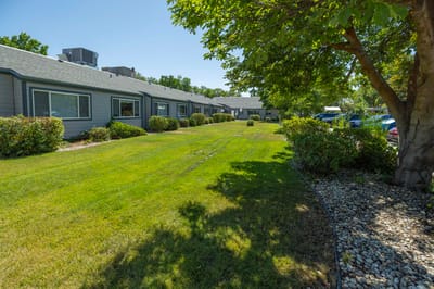 Well-maintained outdoor space with grass and shrubs