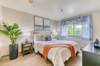Cozy resident room with single bed and natural light