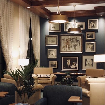 Cozy lounge area with art and comfortable seating