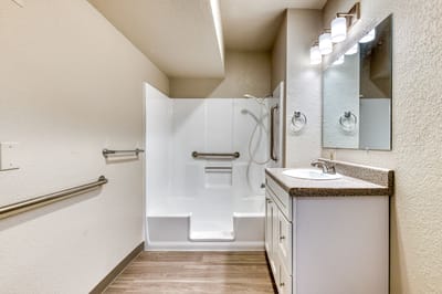 Accessible bathroom with grab bars and a shower