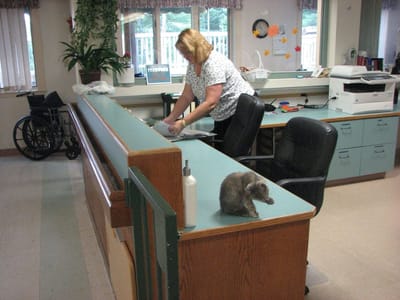 Staff member arranging materials at the reception desk