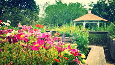 Vibrant flowers in the garden with a gazebo