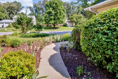 Pathway surrounded by greenery at assisted living facility entrance