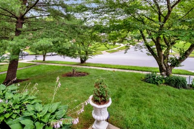 Lush green outdoor space with trees and landscaping