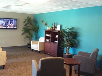 Cozy interior sitting area with plants and a TV