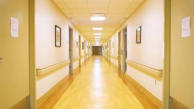 A well-lit corridor with framed pictures on the walls