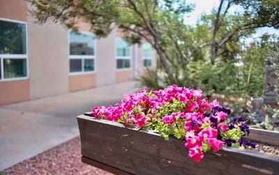 Flower box with colorful flowers in a serene outdoor space