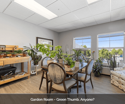 Bright garden room filled with plants and a dining table
