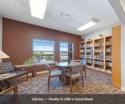 Library with books and cozy seating area