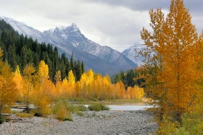 Scenic river view with autumn foliage and mountains