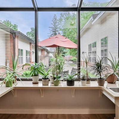 Indoor area with plants and an outdoor view