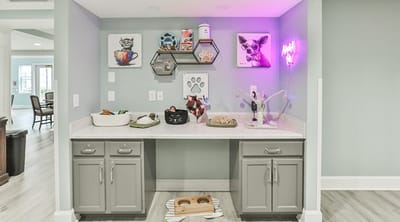 Interior decor showcasing pet-themed art and supplies