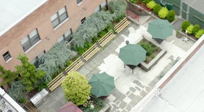 Aerial view of a peaceful outdoor garden space