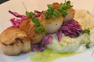 Gourmet scallops on a plate with greens
