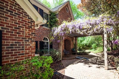 Charming outdoor seating area with wisteria