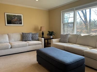 Cozy common area with two sofas and a lamp