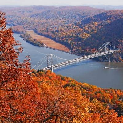 Aerial view of a vibrant autumn landscape