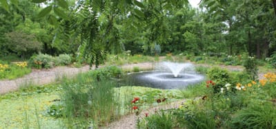Beautiful garden with a fountain surrounded by flowers