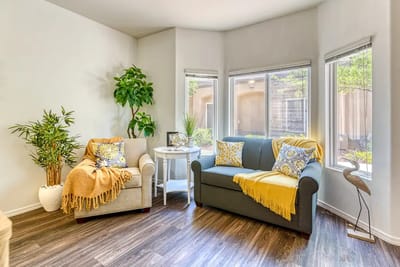 A cozy seating area with plants and natural light