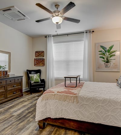 Cozy bedroom with decorative plant and furnishings.