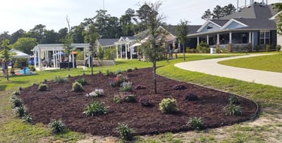 Landscaped outdoor area at the facility