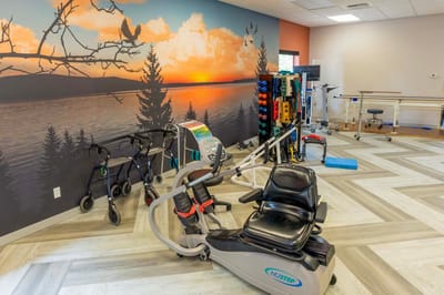Therapy room with exercise equipment and sunset mural.