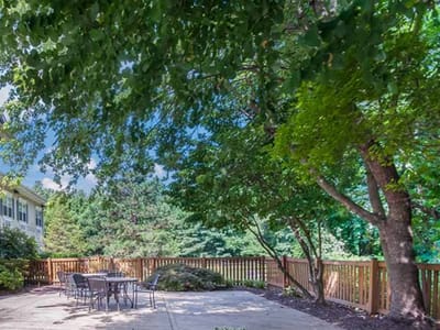 Shaded outdoor seating area with trees and table.