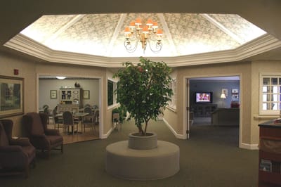 Common area with a decorative tree and seating