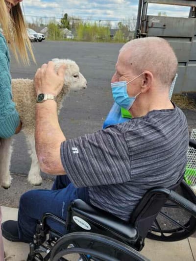 Resident petting a sheep outdoors