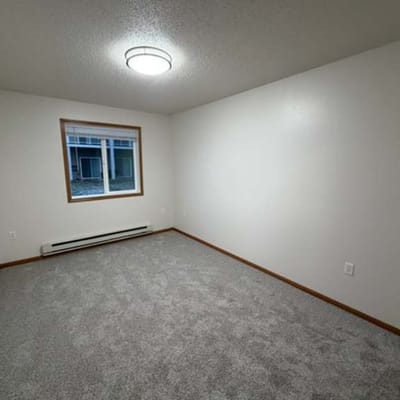Empty interior room with gray carpet and window