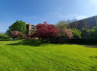 Exterior view of Weston Gardens with blooming trees