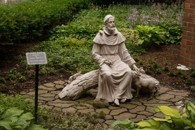Statue of a saint in a garden area