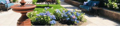 Beautiful outdoor garden with hydrangeas and seating
