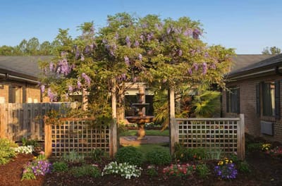 Outdoor garden area with flowering plants and a fountain.