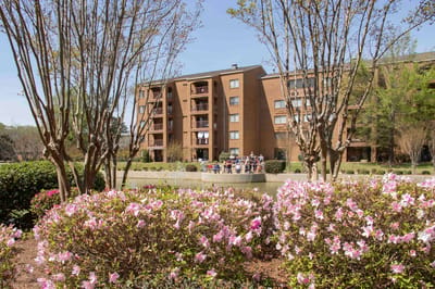 Residents enjoying time outdoors near blooming azaleas