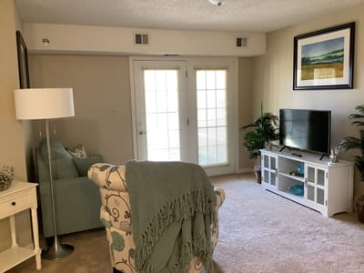 Cozy interior living room with soft furnishings