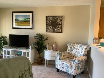 Brightly decorated common living area with plants and art