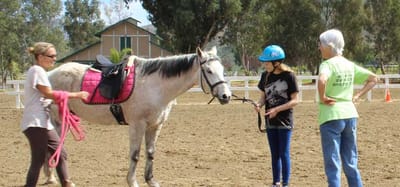 Residents interacting with a horse during a therapy activity