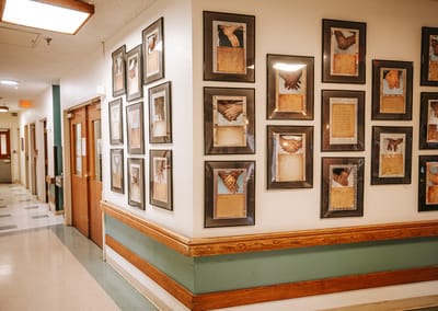 Decorated hallway with framed artwork